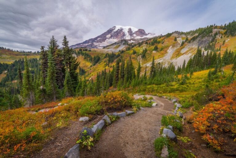 The Top 9 Washington State Hikes for Wilderness Adventures